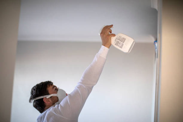 Best Best Mold Removal Companies  in Camano, WA