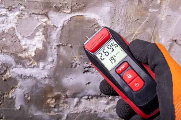 Mold Removal Process in Camano, WA