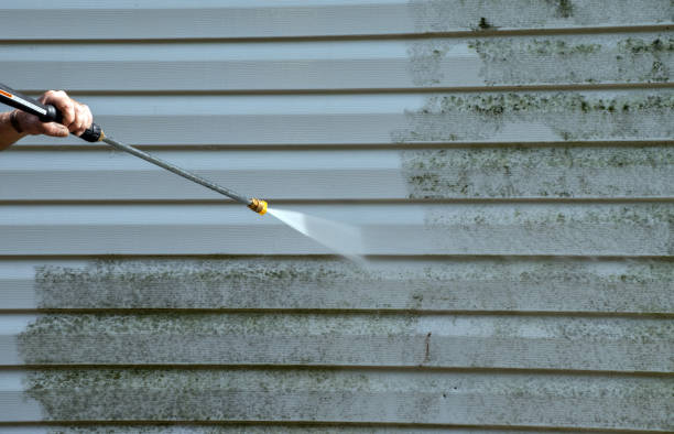 Best Residential Mold Removal  in Camano, WA