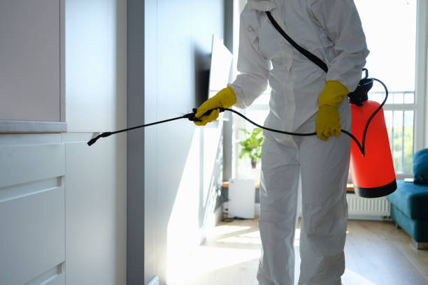 Best Mold Testing  in Camano, WA