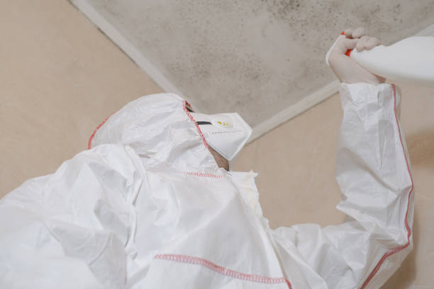 Best Residential Mold Removal  in Camano, WA