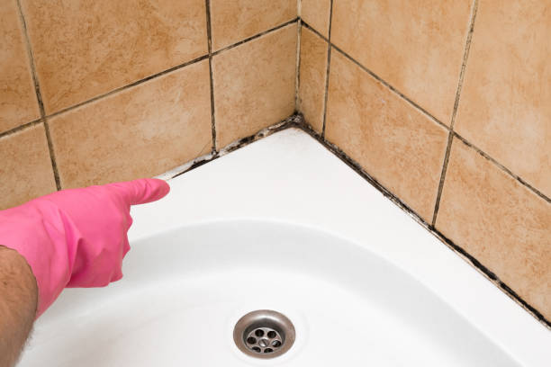 Best Residential Mold Removal  in Camano, WA